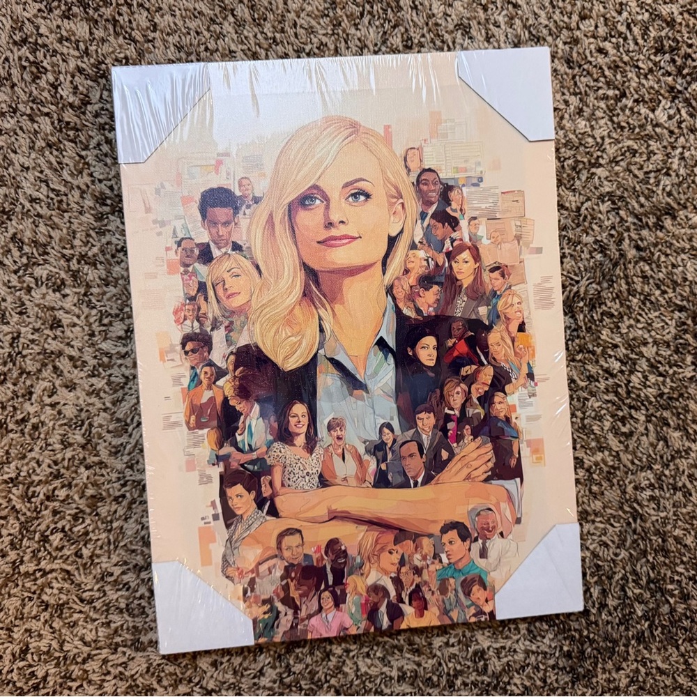 💥 Parks and Recreation Inspired Collage Canvas Art - NWT